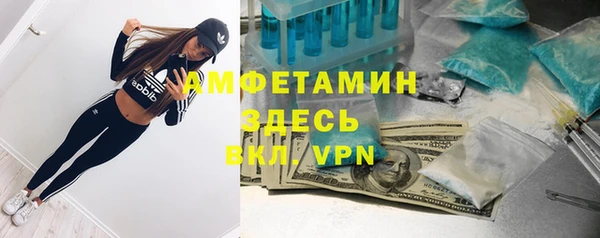 молекула духа Вязники