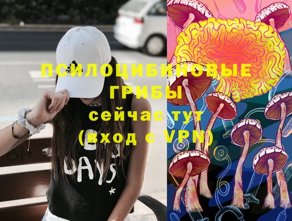 прущий лед Вяземский