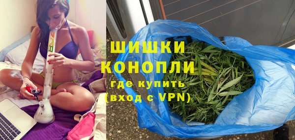 прущий лед Вяземский