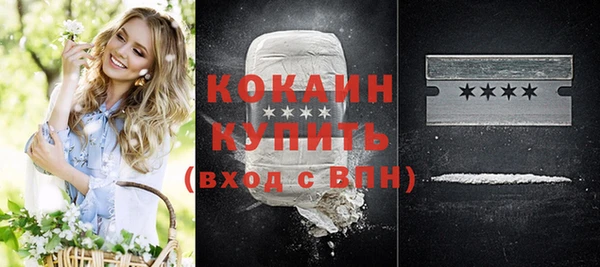 прущий лед Вяземский