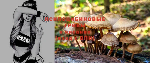 прущий лед Вяземский
