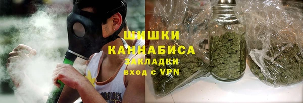 прущий лед Вяземский