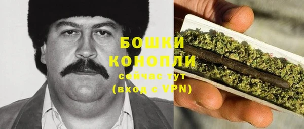 молекула духа Вязники